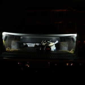 LEDs in bed
