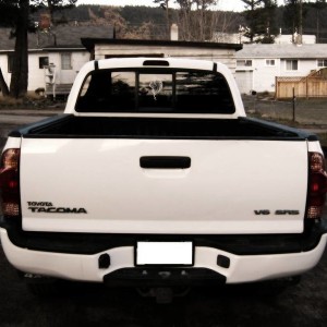 rear end of white tacoma