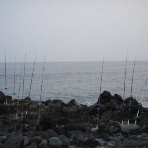 DSC07512