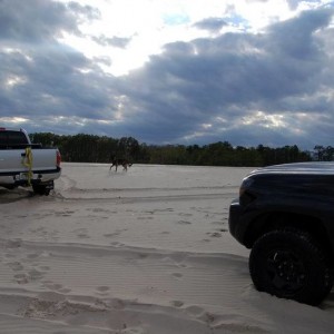 Dunes