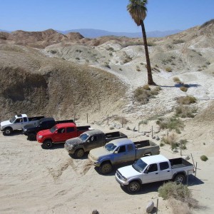the line up