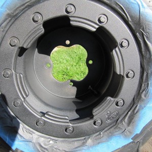 Quad rims