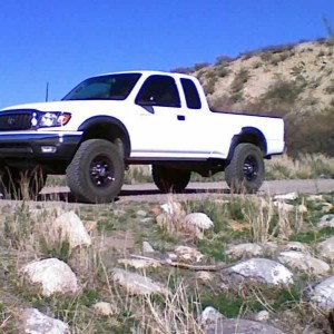 Low shot