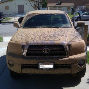 Loved getting it dirty, hated washing it off