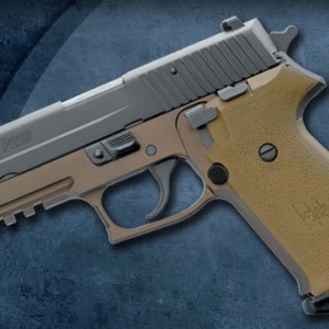 P220-COMBAT-detail-L