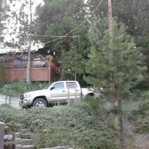 Photo0332