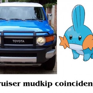 fj mudkip