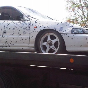 acura turned to swiss cheese in Pomona,CA