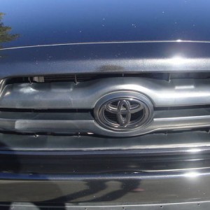 painted grille