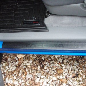 Door Seals