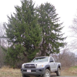 03.25.2010_tacoma_mud