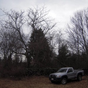 03.25.2010_tacoma_mud