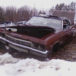 gardner-imp