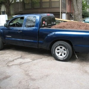 mulch1