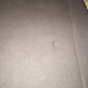 A11A169F-C583-4C5A-B626-9B4BE22BDBAD