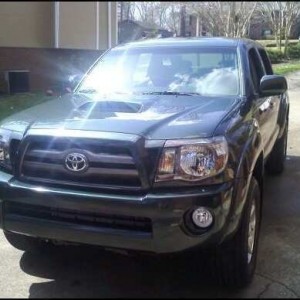 taco335
