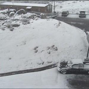 More snow pic's