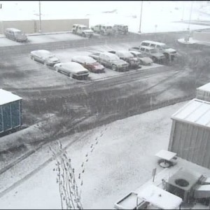 More snow pic's