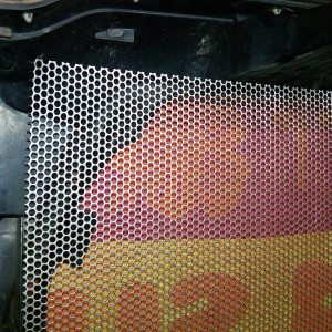 IMG00107-20100401-2337