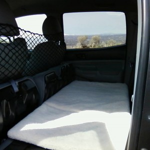 DOG BED SET UP