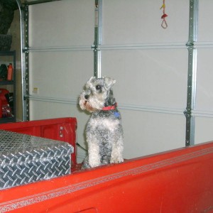 Ralf
