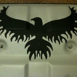 Eagle Skid Plate