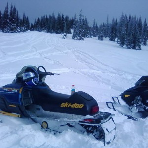 sleddin in the canadian rockies
