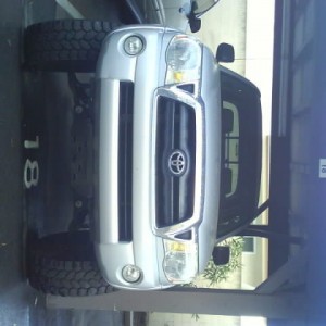 MISC_PICS_0231