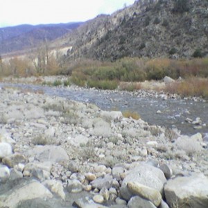 up to oregon
