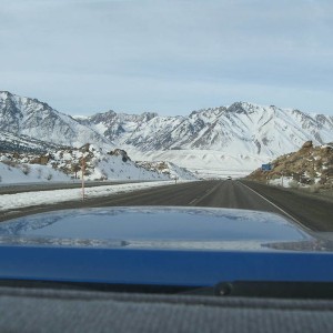 IMG_07382