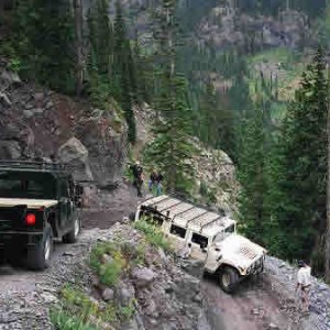 Blackbear31