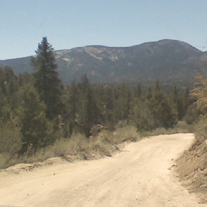 trailing