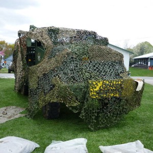 P10000251