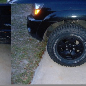 My Taco.