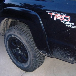 My Taco.