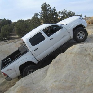 Crevice_2