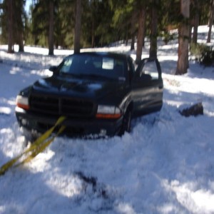 Dodge