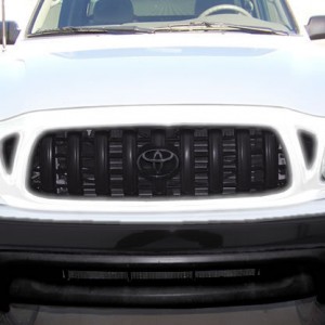 Grille White Black