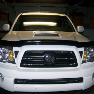 AVS Bugflector II