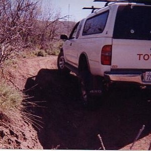 97 TACOMA