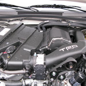 The belly of the beast