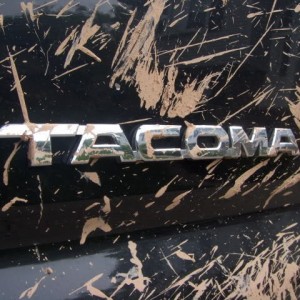 mud_on_tacoma_emblem