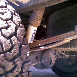 Rear Shocks