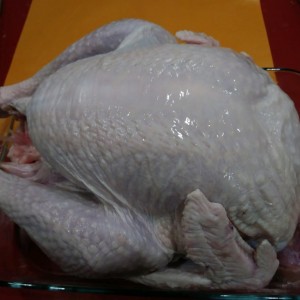 Gobble gobble