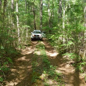 N GA Trail