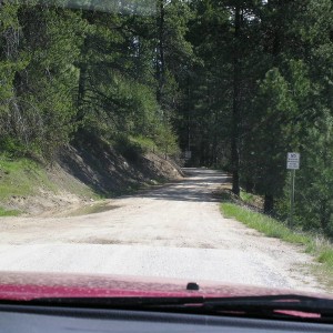 Colville Forest