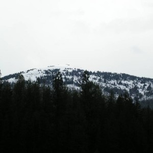 PICT00152