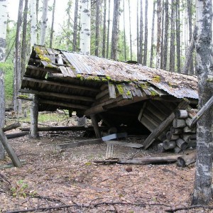 PICT00202