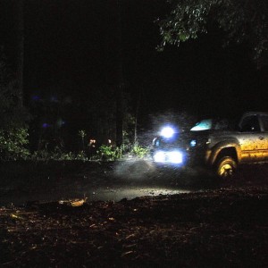 mud hole at citrus