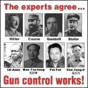 gun_control_works2